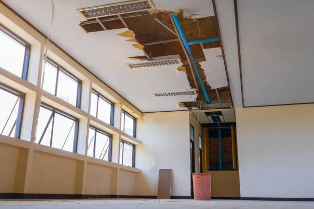 Best Sewage cleanup and water damage restoration  in Falls City, OR