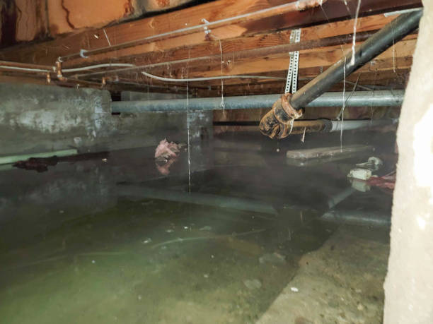 Best Residential water damage restoration  in Falls City, OR