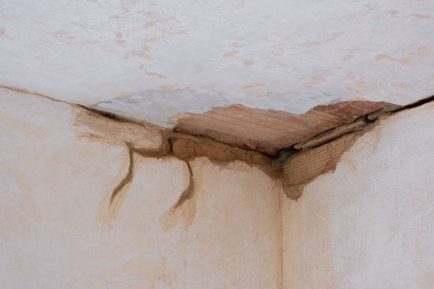 Best Emergency water damage restoration  in Falls City, OR