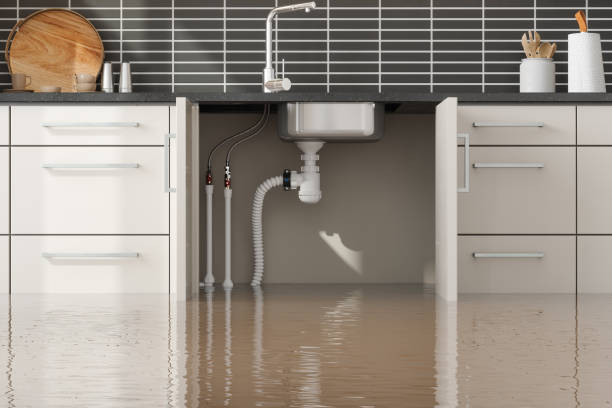 Best Water damage cleanup near me  in Falls City, OR