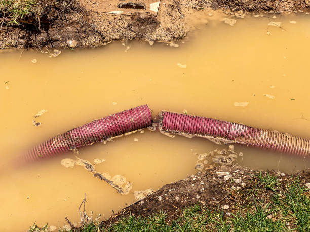 Best 24/7 water damage repair  in Falls City, OR