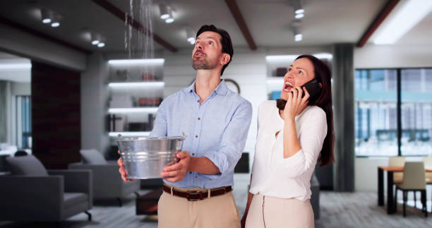 Best Flood damage cleanup  in Falls City, OR