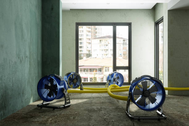  Falls City, OR Water damage restoration Pros