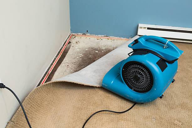 Best 24-hour water damage restoration  in Falls City, OR